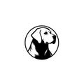 Vector logo of a dog head Labrador on white background, Pet. Animals.