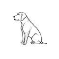 Vector logo of a dog head Labrador on white background, Pet. Animals.