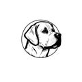 Vector logo of a dog head Labrador on white background, Pet. Animals.