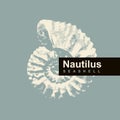 Vector Logo With Drawing Ammonite Shells Or Nautilus