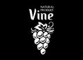 Vector logo drawn by hand. Bunch of grapes for making wine Royalty Free Stock Photo