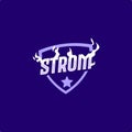 Vector logo e sport strom with shield and lightning effect