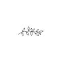Vector logo element, a green branch with leaves and berries. Hand drawn isolated garden illustration.