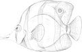 The Vector logo fish on black cloth for T-shirt print design or outwear. Fishing style grouper background. This drawing would