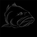 The Vector logo fish on black cloth for T-shirt print design or outwear. Fishing style grouper background. This drawing would