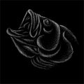 The Vector logo fish on black cloth for T-shirt print design or outwear. Fishing style grouper background. This drawing would