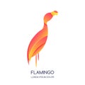 Vector logo icon or emblem with abstract pink tropical bird flamingo. Isolated design element Royalty Free Stock Photo