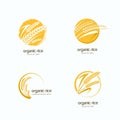 Vector logo, label or emblem with rice, wheat, rye grains. Design template for asian agriculture, cereal and bakery.