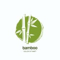 Vector logo, label or emblem with watercolor hand drawn green bamboo plant. Concept for spa and beauty salon, massage.