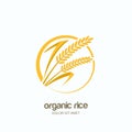 Vector logo, label or package emblem with rice, wheat, rye grains. Royalty Free Stock Photo