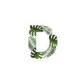 Vector Logo Letter D Tropical Leaves