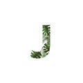 Vector Logo Letter J Tropical Leaves