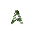 Vector Logo Letter A Tropical Leaves