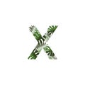 Vector Logo Letter X Tropical Leaves