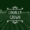 Vector Logo Locally Grown, Farming Icon, Doodle Framel, Farm Field Background. Royalty Free Stock Photo