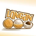 Vector logo Longan Fruit