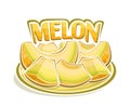 Vector logo for Melon