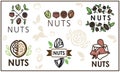 Vector logo of the nuts and dried fruits store