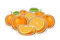 Vector logo for Oranges Royalty Free Stock Photo