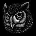 The Vector logo owl for tattoo or T-shirt design or outwear. Hunting style owl background.