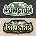 Vector logo for Pakistan Royalty Free Stock Photo