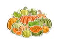 Vector logo for Pumpkins