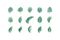 Vector Logo Set: Palm Leaf Inspired Designs for a Tropical Feel