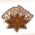 Vector logo for Star Anise