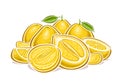 Vector logo for Yellow Pomelos