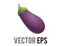 Vector long, bulbous, bright purple eggplant or aubergine icon