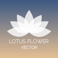 Vector Lotus Flower Logo Natural Illustration on Gradient Background