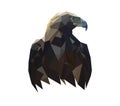 Vector low poly image of an eagle