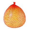 Vector low poly yellow pomelo wrapped