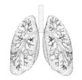 vector lungs and bronchi. vector design. point and dot style