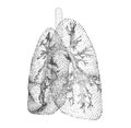 vector lungs and bronchi. vector design. point and dot style