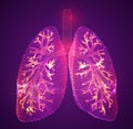 vector lungs and bronchi. vector design. point and dot style