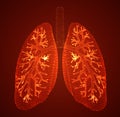 vector lungs and bronchi. vector design. point and dot style