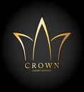 Vector Luxury Sign Gold Crown. Exclusive princess typo with golden crown on black background