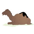 Vector lying camel Royalty Free Stock Photo