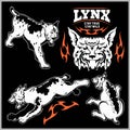 Vector lynx head, face for retro logos, emblems, badges, labels template and t-shirt vintage design element.