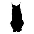 Vector Lynx Silhouette Front View Sitting Bobcat Illustration