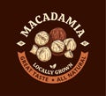 Vector macadamia colorful logo Royalty Free Stock Photo