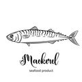 Vector mackerel.