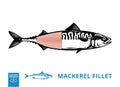 Vector mackerel illustration with fillet Royalty Free Stock Photo