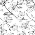 Vector Magnolia floral botanical flowers. Black and white engraved ink art. Seamless background pattern.