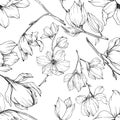 Vector Magnolia floral botanical flowers. Black and white engraved ink art. Seamless background pattern.