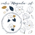 Vector Magnolia set. Hand drawn botanical elements in line art style.