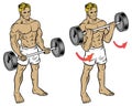 Male fitness workout doing barbell durl to train the bicep