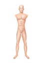 Vector male mannequin, manikin for clothing store.