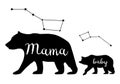Vector Mama Bear and Baby Bear. Royalty Free Stock Photo